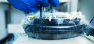 Criopreservación 1